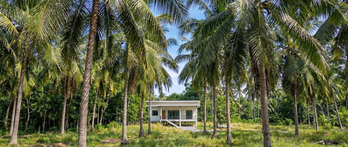 Coconut Villa